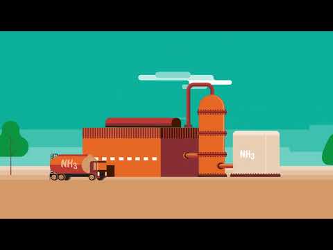 How To Produce Green Ammonia | REVOLVE