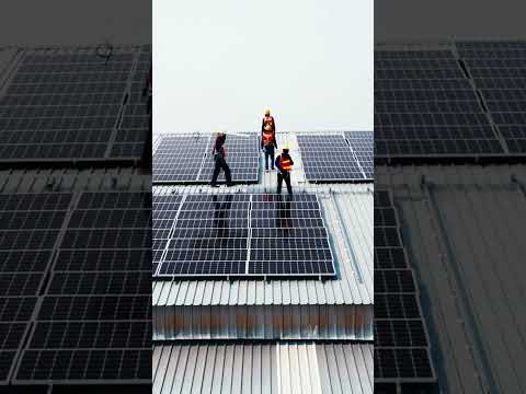 The Global Expansion of Renewable Energy: A Thriving Sector | SGK English