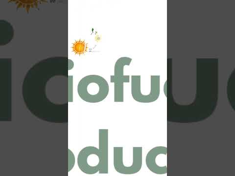 Biofuel Expo 2025 | Green Hydrogen Expo, CleanTech Expo, Renewable Energy