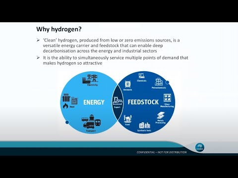 Pathways to an economically sustainable hydrogen industry in Australia
