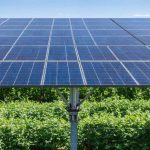Detroit’s Green Revolution: How the City’s Solar Initiative is Transforming Neighborhoods and Lives