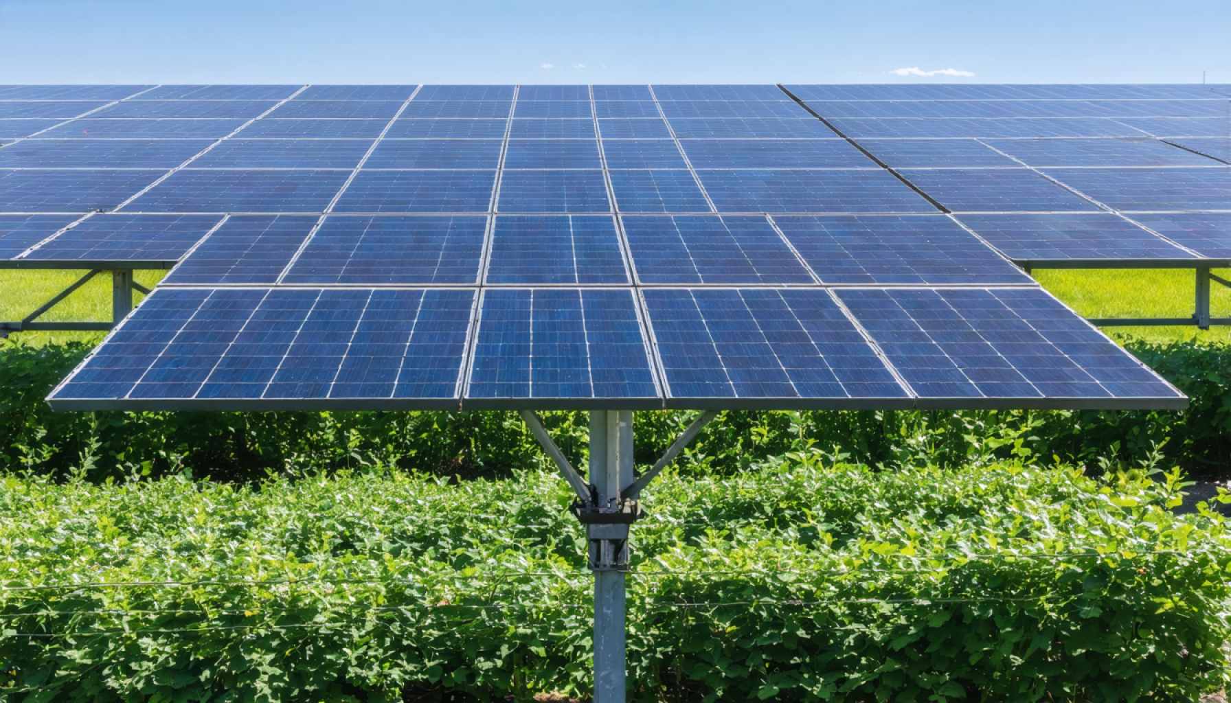 Detroit’s Green Revolution: How the City’s Solar Initiative is Transforming Neighborhoods and Lives