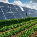 Energieertragsoptimierung in Agrivoltaik: Markttrends 2025 & 18% CAGR-Wachstumsprognose bis 2030